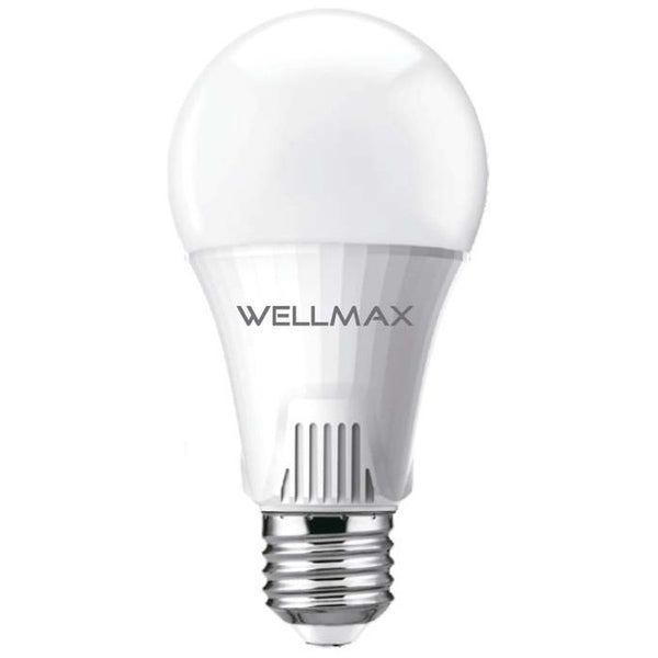 Lampara Led 15w (Fría)