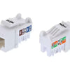 Jack Nexxt Cat6