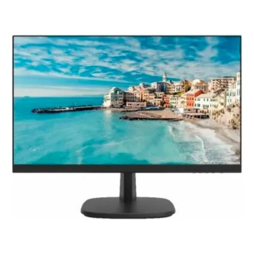 Monitor Hikvision 19"