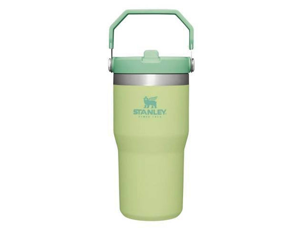Vaso Termico Stanley Tumbler 20 OZ / 600ml Citron-Verde Clar