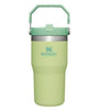 Vaso Termico Stanley Tumbler 20 OZ / 600ml Citron-Verde Clar