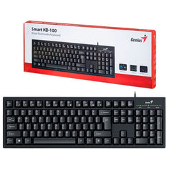 Teclado Genius KB100 USB negro
