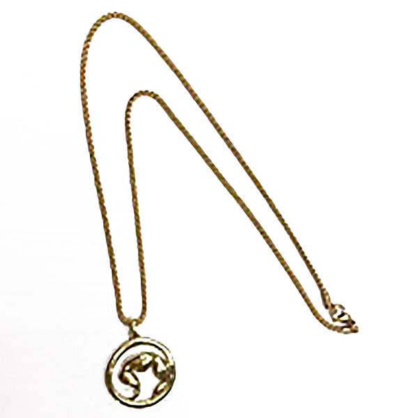 Marketing Collar Marvo Br-01