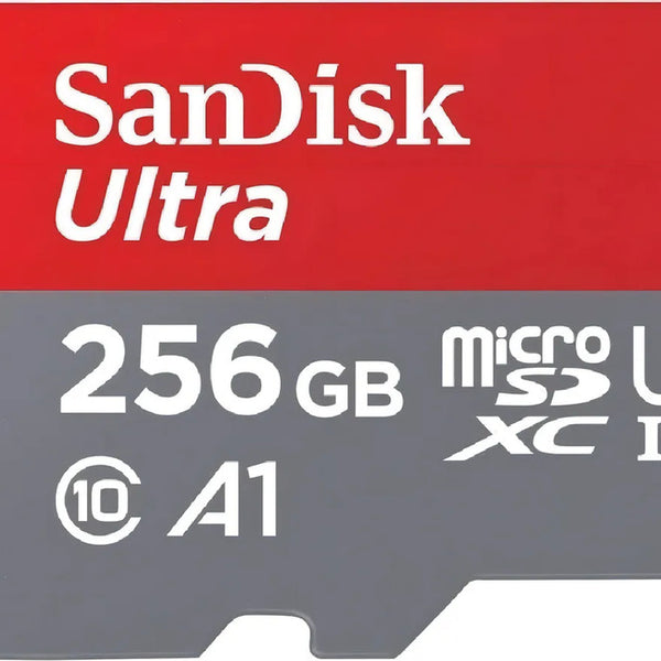 Memoria Micro SD 256Gb