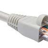 Cable Patch Cord Nexxt Cat 6 3 Metros 10Ft